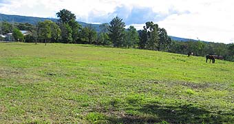 Cricket pitch for Comleroy Road players