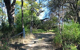 Site of Greendale Guesthouse